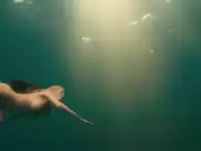 Kelly Brook, Riley Steele - Piranha (2010)