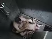 Nellie Benner - Vlees (2010)