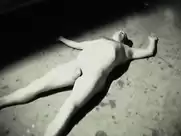 Nellie Benner - Vlees (2010)