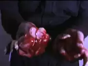 Stephanie Christine Medina - The Janitor