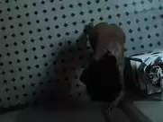 Salma Hayek - Everly (2014)