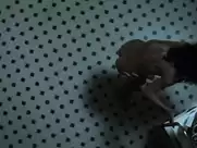 Salma Hayek - Everly (2014)