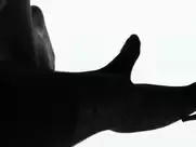 Scarlett Johansson - Under The Skin (2013)