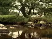 Mieke Dockley - Camelot (2011)