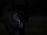 Eva Green - Camelot (2011)