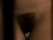 Anne Coesens - Cages (2006)