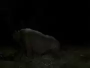 Hafsia Herzi - Le roi de levasion (2009) sex scenes