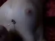 Signe Egholm Olsen - Nordkraft (2005)