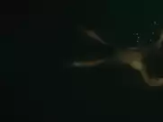 Mia Wasikowska - Tracks (2013)