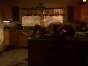 Nicki Aycox, Eva Amurri - Animals (2008)