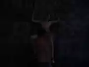 Nicki Aycox, Eva Amurri - Animals (2008)