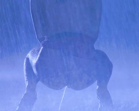 Anna Ammirati - Frivolous Lola