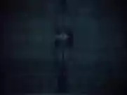 Elena Kondulainen - 100 days before the order