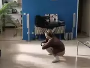 Lisa Wolle - Rebecca (2014)