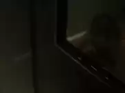 Addison Timlin, Morganna Bridgers - The Town That Dreaded Sundown (2014)