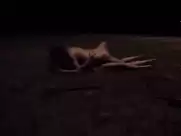 Julia Ostertag - Sexjunkie (2003)