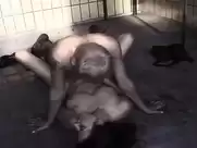 Julia Ostertag - Sexjunkie (2003)