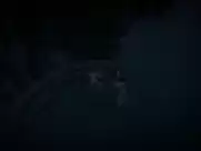 Rosamund Pike, Rachael Stirling - Women In Love