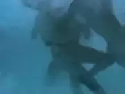 Patricia Barzyk - La machine a decoudre (1986)