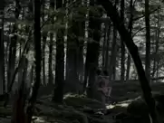 Elisabeth Moss, Lauren Dawes, Alison Bruce, Robyn Malcolm, Robyn Nevin - Top of the lake (2013)