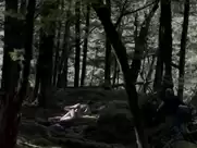 Elisabeth Moss, Lauren Dawes, Alison Bruce, Robyn Malcolm, Robyn Nevin - Top of the lake (2013)