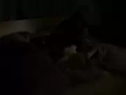 Petra Schmidt Schaller - Stereo (2014)