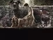 Anne Louise Hassing - Goltzius and the Pelican Company (2012)