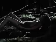 Sharon Hinnendael, C.C. Sheffield, Kaniehtiio Horn, Chelsey Reist - Embrace Of The Vampire (2013)