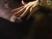 Sandra Graffi - Mulher, Tentacao