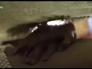 Sarita Choudhury - Kama Sutra. A Tale of Love