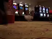 Kristen Wiig - Welcome to Me