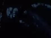 Gala Besson - Horsehead