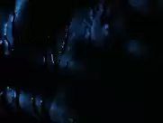 Gala Besson - Horsehead