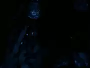 Gala Besson - Horsehead