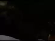 Judith El Zein - Intrusion