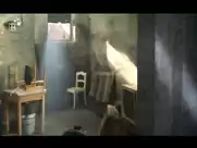 Susanne Bormann - Raus aus der Haut