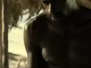 Fernanda Torres - Casa De Areia