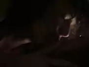 Erin Cummings sex scene