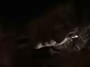 Erin Cummings sex scene