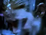 Josefine Preuss - Stuehle im Schnee 2007