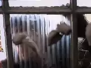 "Sweet Movie"  the 'Chocolate' scene