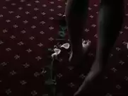 Marie Denarnaud - Les Adoptes 2011