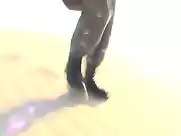 Dirty Princess - Marine