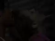 Heather Graham - At Any Price 2012