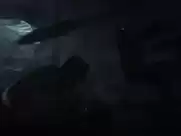 Elena Lyadova - Orlean (2015)