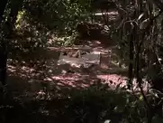 Debi Sue Voorhees - Friday the 13th: A New Beginning