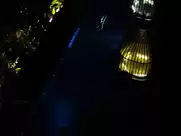 Hannah Ware - Hitman Agent 47 (2015)