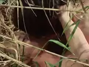 Ingrid Steeger Nude - Die Sexabenteuer der drei Musketiere