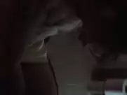 Ashley Mccarthy - The Ecstasy 2011