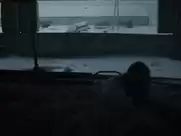 Alisa Shitikova - Me too (2012)